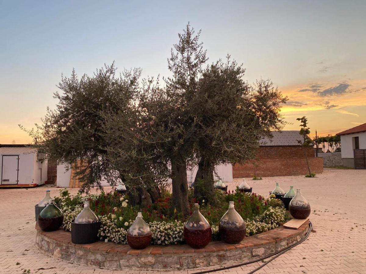 Hotel Mrizi I Zanave Agroturizem Lezhë Esterno foto