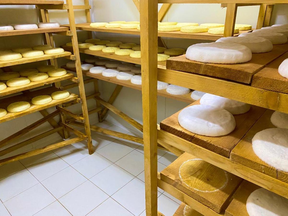 Hotel Mrizi I Zanave Agroturizem Lezhë Esterno foto
