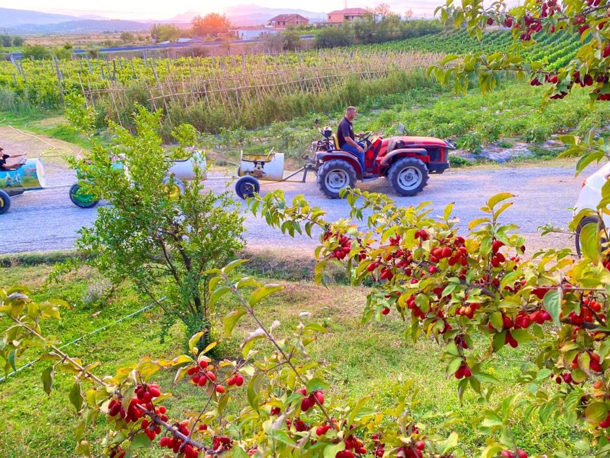 Hotel Mrizi I Zanave Agroturizem Lezhë Esterno foto