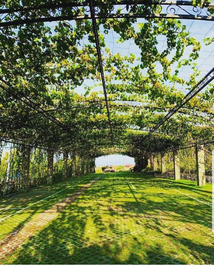 Hotel Mrizi I Zanave Agroturizem Lezhë Esterno foto